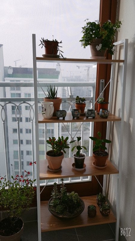 이미지리뷰