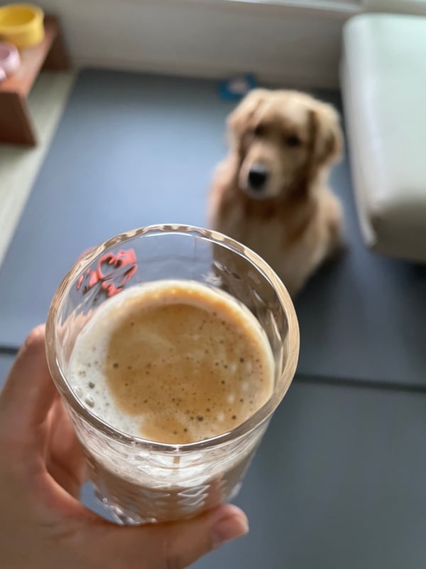 이미지리뷰