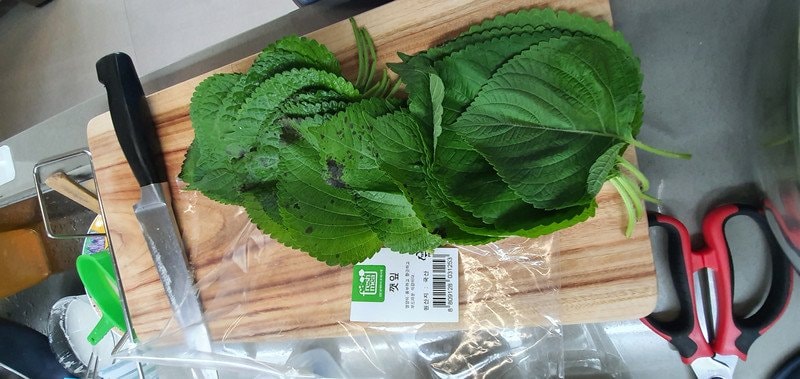구매자가 올린 리뷰 사진