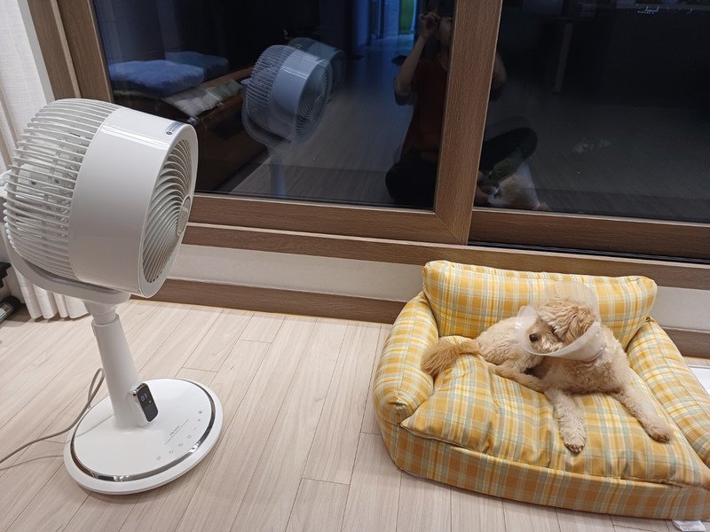 구매자가 올린 리뷰 사진