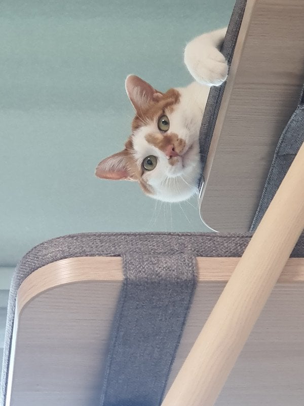 이미지리뷰