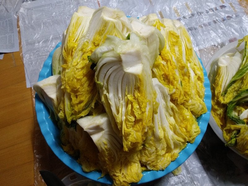 구매자가 올린 리뷰 사진