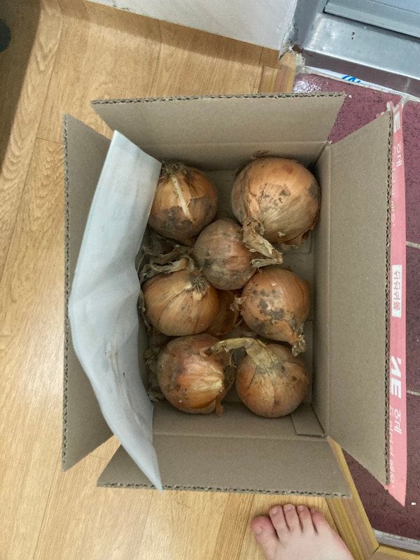 구매자가 올린 리뷰 사진