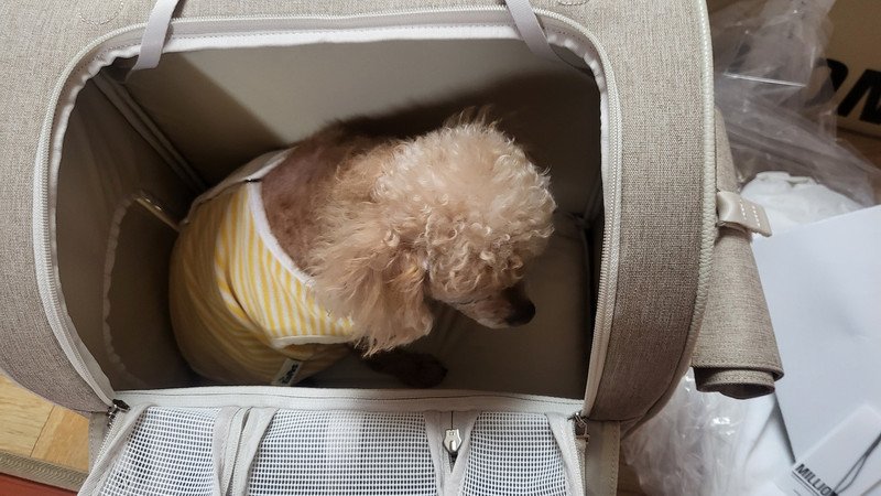 이미지리뷰