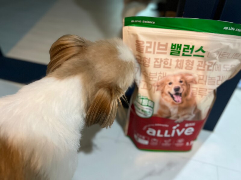 구매자가 올린 리뷰 사진