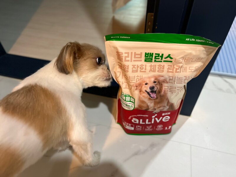 구매자가 올린 리뷰 사진