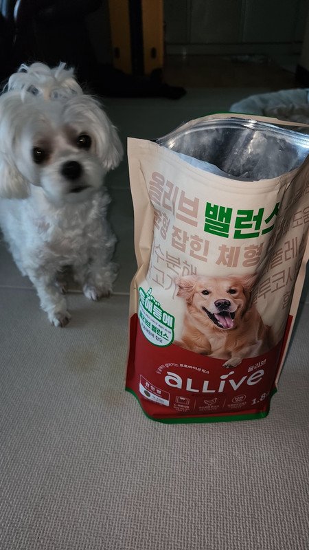 구매자가 올린 리뷰 사진