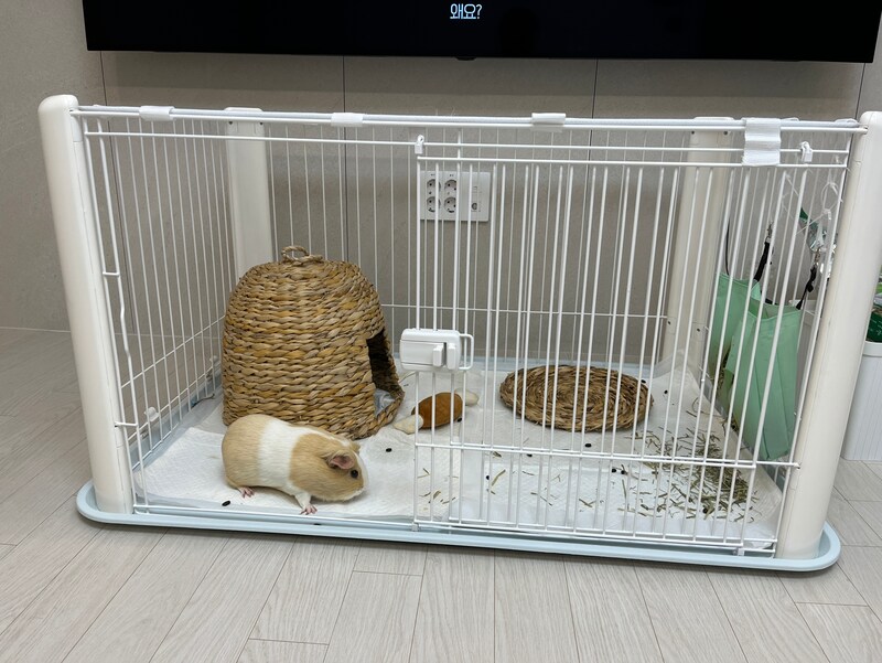 구매자가 올린 리뷰 사진