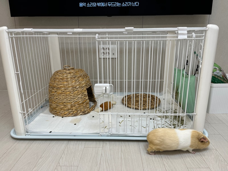 구매자가 올린 리뷰 사진