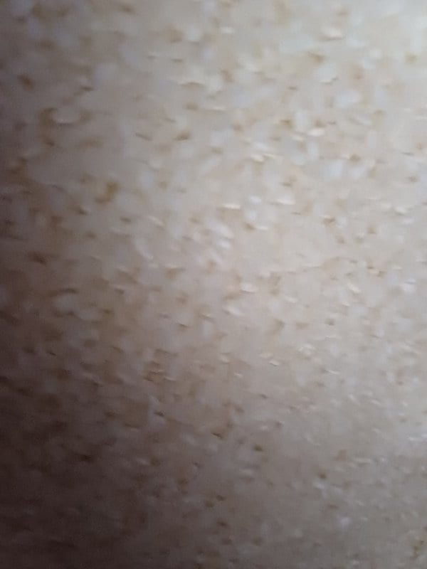 이미지리뷰
