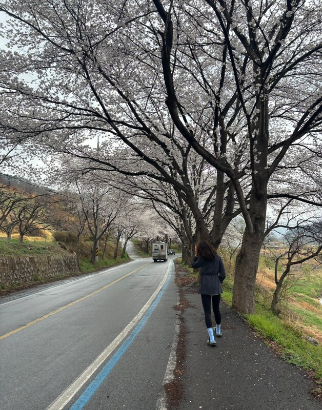 이미지리뷰