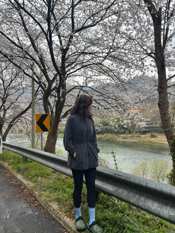 이미지리뷰