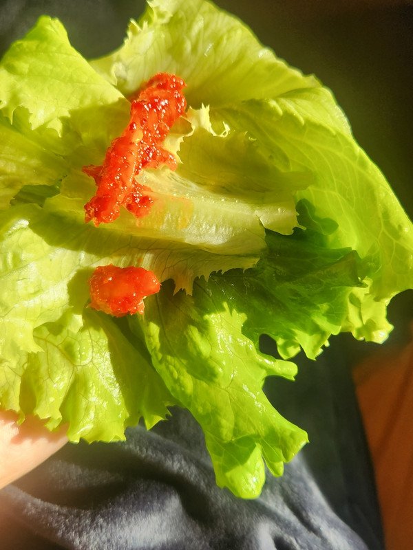 구매자가 올린 리뷰 사진