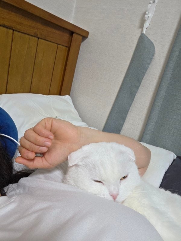 구매자가 올린 리뷰 사진