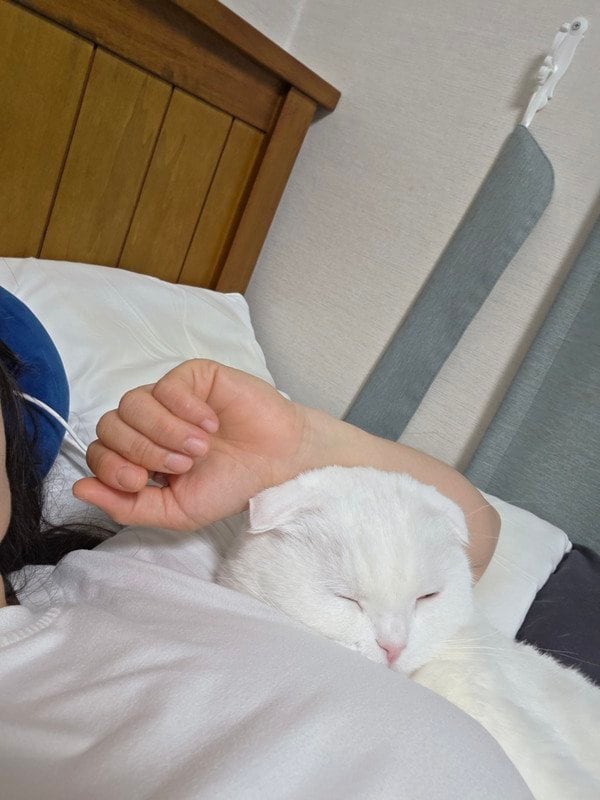 구매자가 올린 리뷰 사진