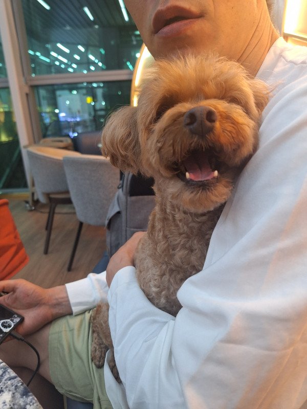 구매자가 올린 리뷰 사진