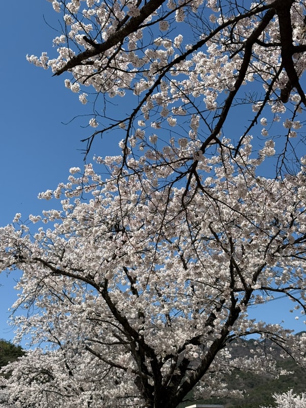 이미지리뷰