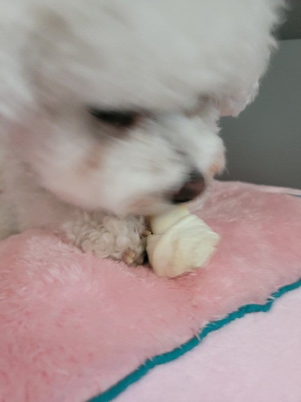 구매자가 올린 리뷰 사진