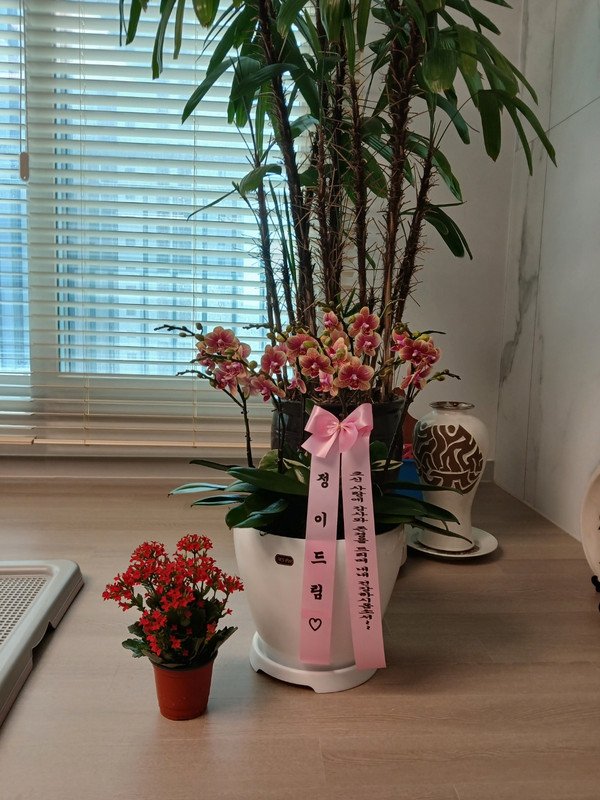 구매자가 올린 리뷰 사진