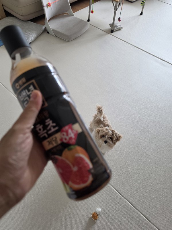구매자가 올린 리뷰 사진