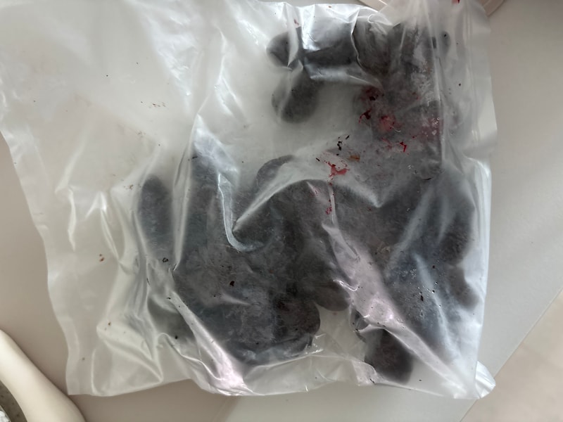구매자가 올린 리뷰 사진
