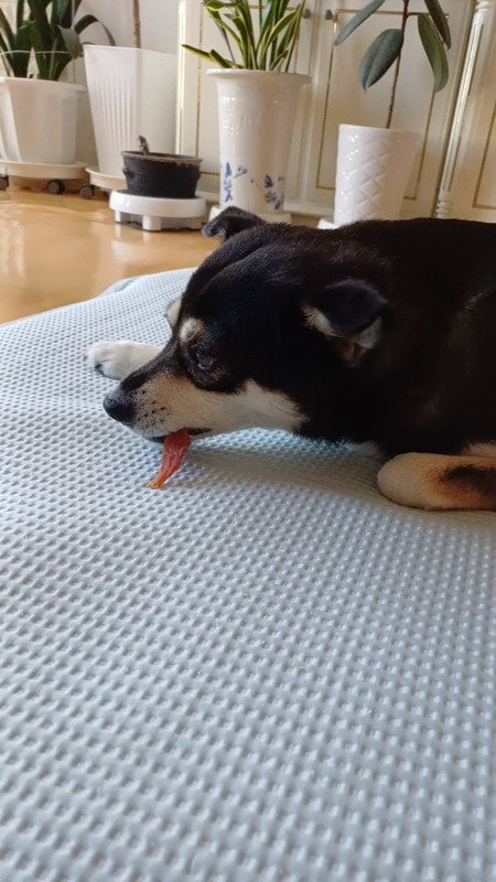 구매자가 올린 리뷰 사진