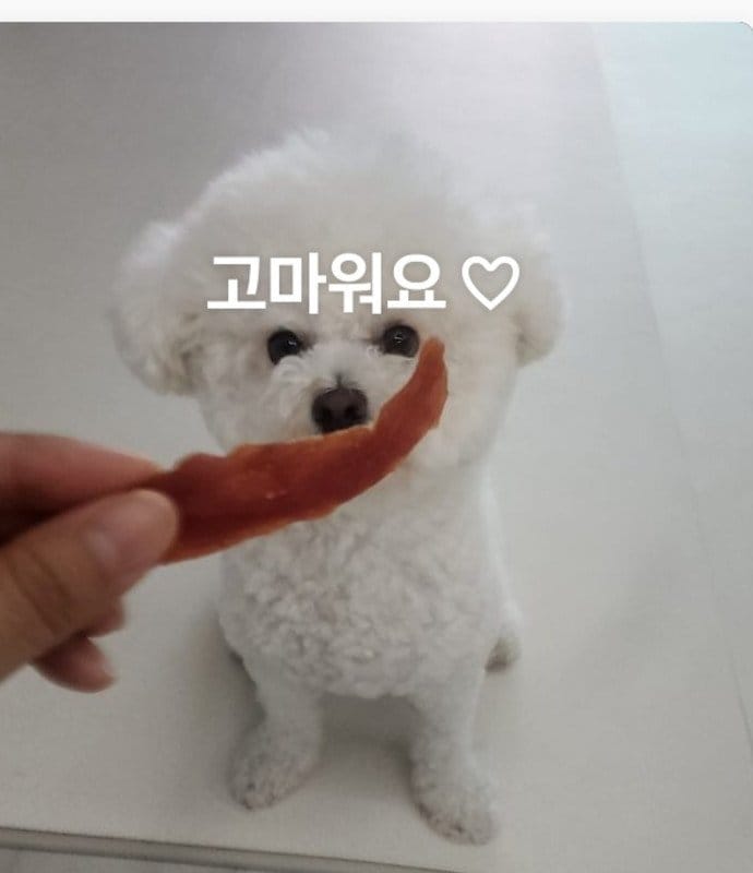 구매자가 올린 리뷰 사진
