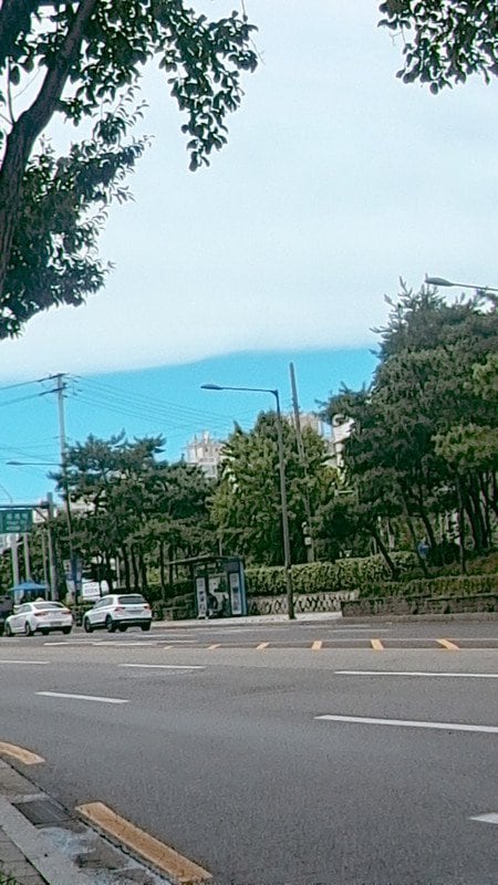 구매자가 올린 리뷰 사진
