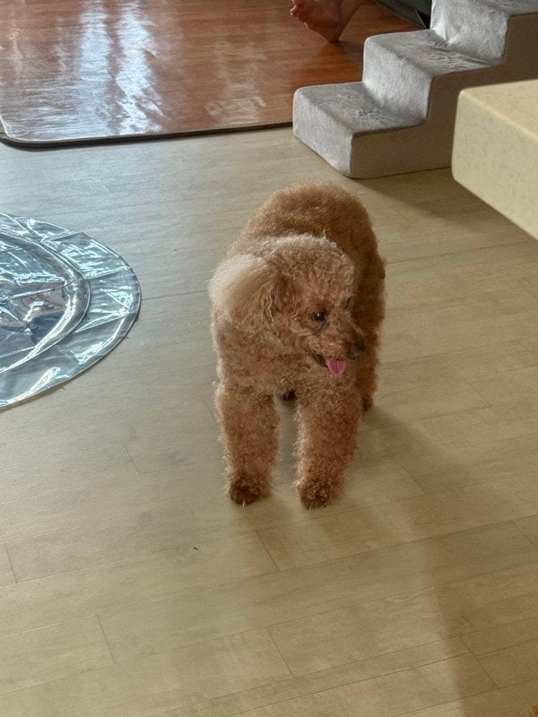 구매자가 올린 리뷰 사진