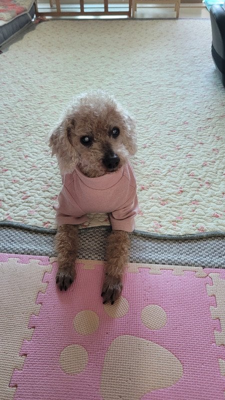 구매자가 올린 리뷰 사진