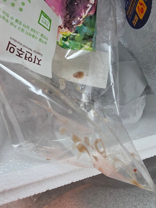 구매자가 올린 리뷰 사진