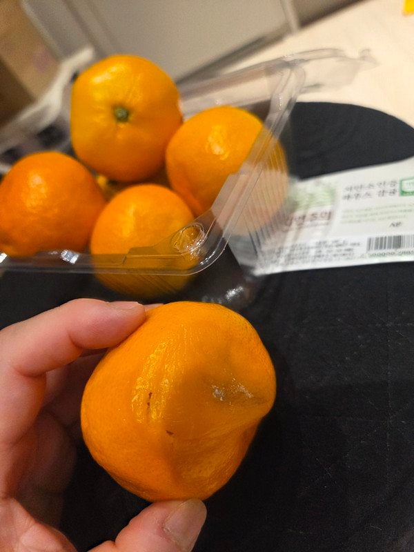 구매자가 올린 리뷰 사진